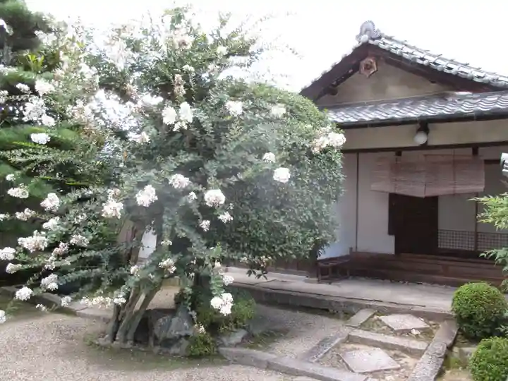 法輪寺(奈良県)