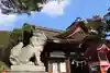 白鬚神社の狛犬