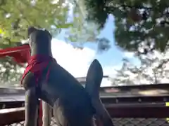 冨士山稲荷神社(長野県)