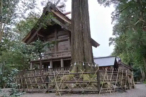 須佐神社(島根県)
