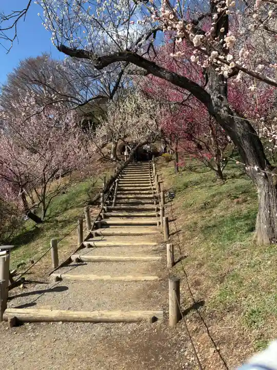 常磐神社(茨城県)
