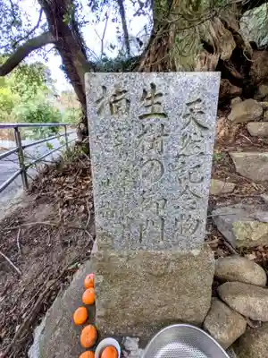大山祇神社奥の院 生樹の御門(愛媛県)