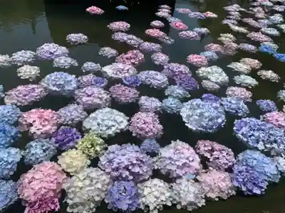 久安寺(大阪府)