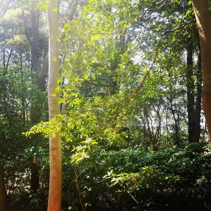 鹿島神宮の自然