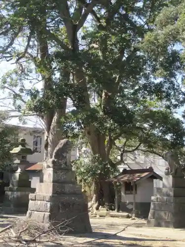 香取神社(埼玉県)