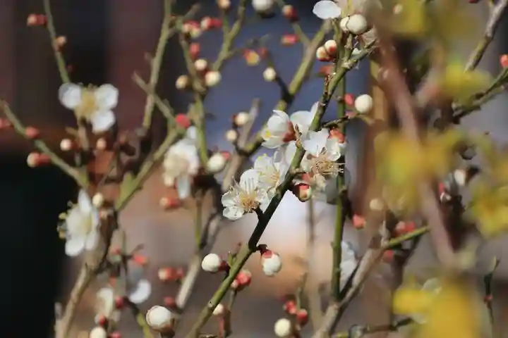 熊野福藏神社の手水舎