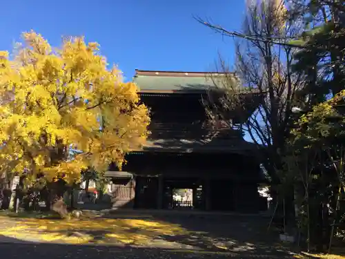 大覚寺の山門・神門