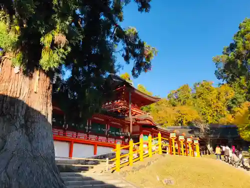 春日大社のその他建物