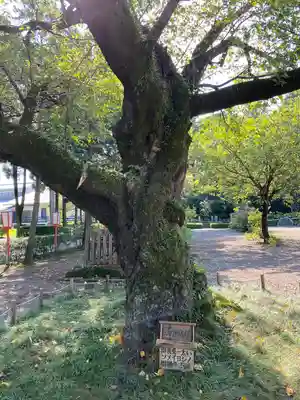 世良田東照宮(群馬県)