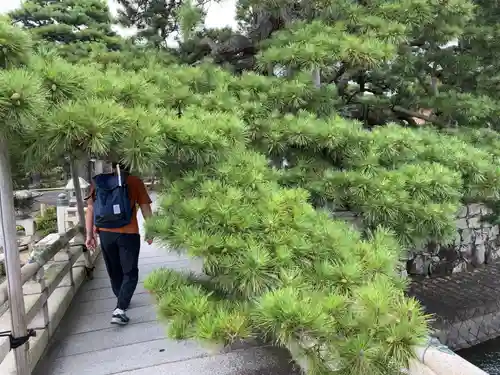 満月寺（浮御堂）の建物その他