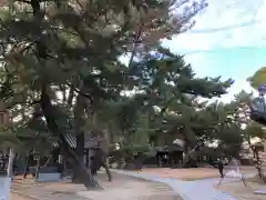 高砂神社の建物その他