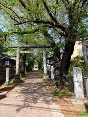 田端神社(東京都)