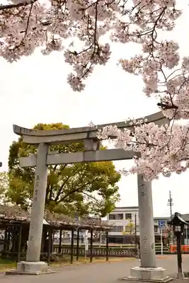 姫坂神社(愛媛県)