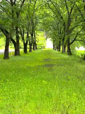 子檀嶺神社(長野県)