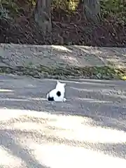 風巻神社の動物