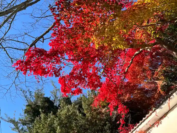 弘川寺(大阪府)