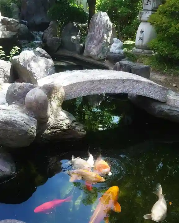 尾張猿田彦神社の動物
