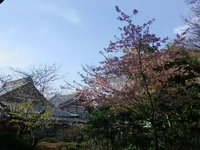 光明寺のその他建物