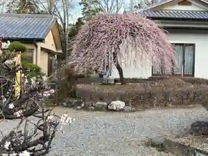 朝日森天満宮の庭園(2021年02月27日(土) 08時52分41秒投稿)
