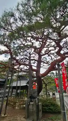 善光寺大勧進(長野県)