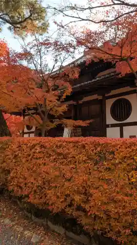 禅林寺（永観堂）(京都府)