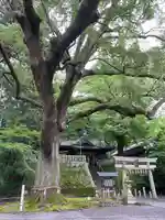事任八幡宮の景色