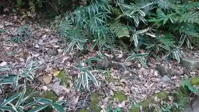 円覚寺(神奈川県)