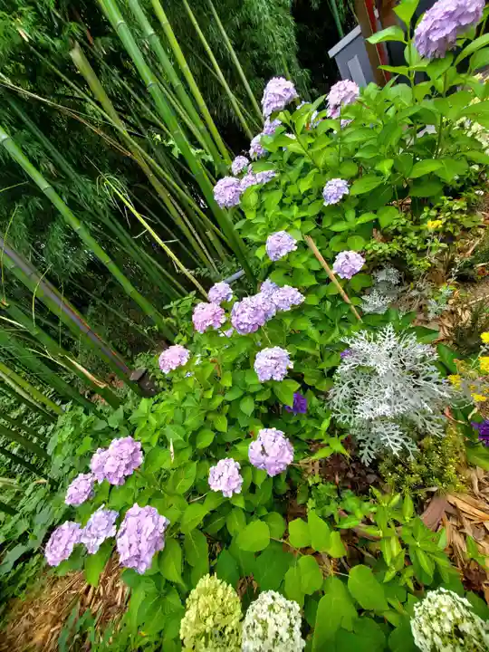 神炊館神社 ⁂奥州須賀川総鎮守⁂(福島県)