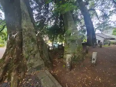 日枝神社(群馬県)