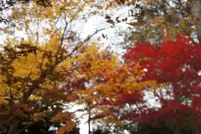永源寺(茨城県)
