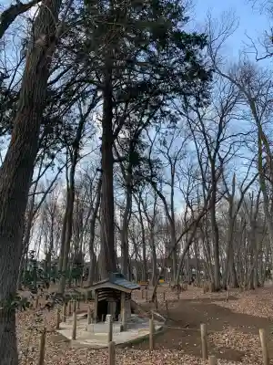 若狭山ノ神神社(埼玉県)