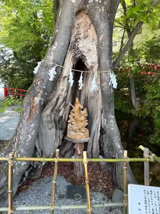 秩父今宮神社(埼玉県)