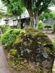 荘厳寺の自然