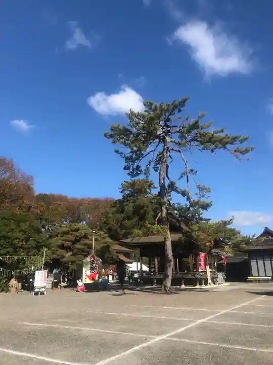 長浜八幡宮のその他建物