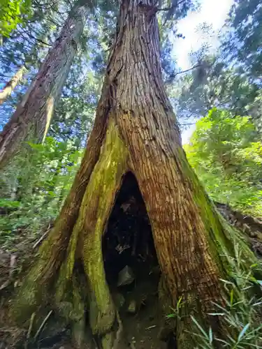 赤城神社(三夜沢町)(群馬県)