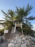 箱島神社の{uncategorized: "未分類", other: "その他", undefined: "問題あり", building: "その他建物", grave: "お墓", sacred_gate: "鳥居", guardian: "狛犬", statue: "像", buddha: "仏像", history: "歴史", nature: "自然", garden: "庭園", animal: "動物", pagoda: "塔", temizu: "手水舎", mountain_gate: "山門・神門", sanctuary: "本殿・本堂", subordinate: "末社・摂社", art: "芸術", scenery: "景色", jizo: "地蔵", ema: "絵馬", goshuin: "御朱印", omikuji: "おみくじ", items: "授与品その他", amulet: "お守り", goshuincho: "御朱印帳", eats: "食事", festival: "お祭り", votive_dance: "神楽", shichigosan: "七五三参", wedding: "結婚式", experience: "体験その他", initially: "初詣", around: "周辺", anti_infection: "感染症対策"}