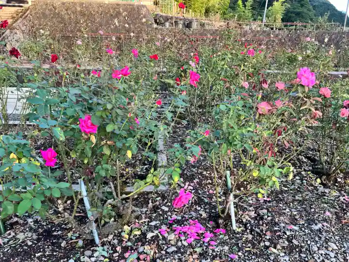 温泉神社の{uncategorized: "未分類", other: "その他", undefined: "問題あり", building: "その他建物", grave: "お墓", sacred_gate: "鳥居", guardian: "狛犬", statue: "像", buddha: "仏像", history: "歴史", nature: "自然", garden: "庭園", animal: "動物", pagoda: "塔", temizu: "手水舎", mountain_gate: "山門・神門", sanctuary: "本殿・本堂", subordinate: "末社・摂社", art: "芸術", scenery: "景色", jizo: "地蔵", ema: "絵馬", goshuin: "御朱印", omikuji: "おみくじ", items: "授与品その他", amulet: "お守り", goshuincho: "御朱印帳", eats: "食事", festival: "お祭り", votive_dance: "神楽", shichigosan: "七五三参", wedding: "結婚式", experience: "体験その他", initially: "初詣", around: "周辺", anti_infection: "感染症対策"}