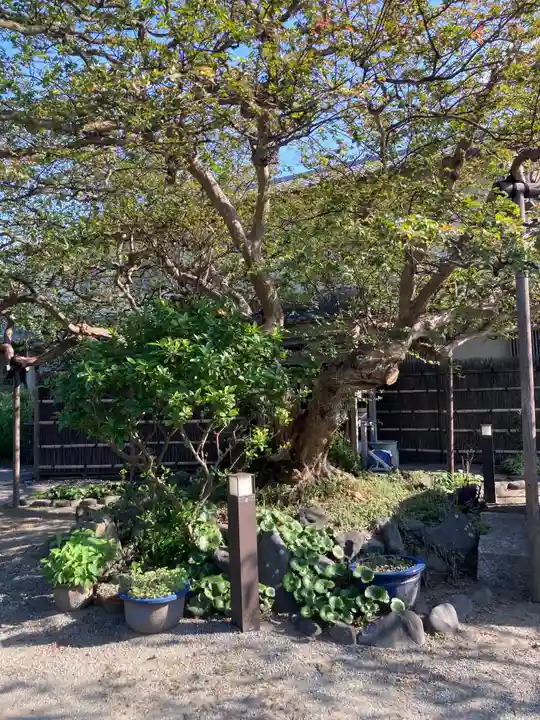 補陀洛寺の自然