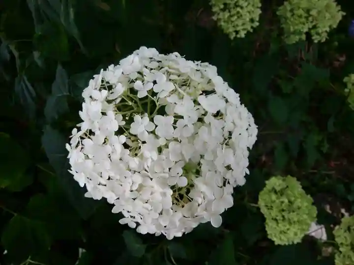 西野神社(北海道)
