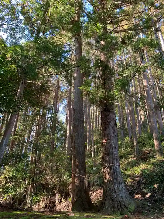 八幡神社の自然