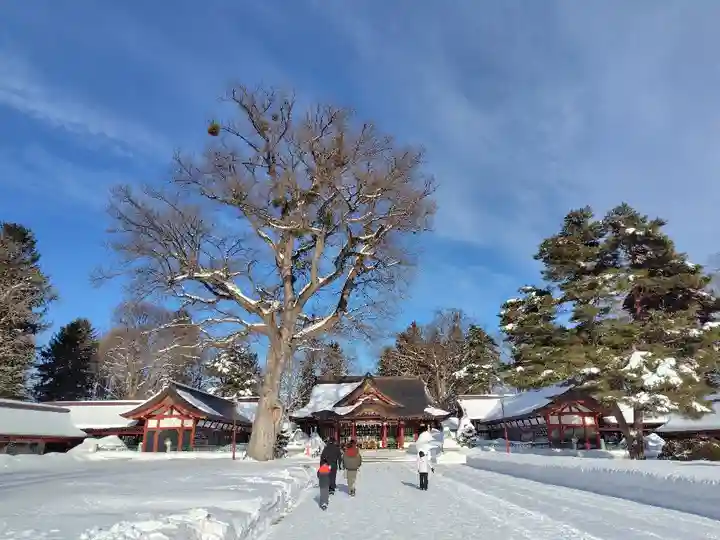 北海道護國神社(北海道)