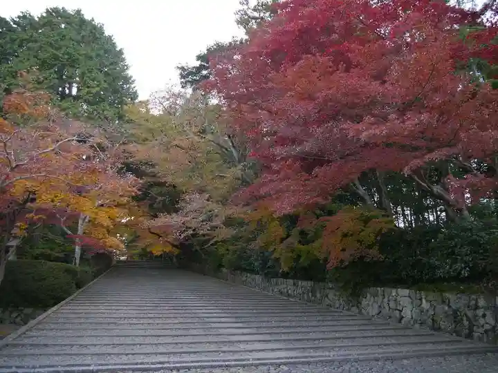 光明寺(粟生光明寺)のその他建物