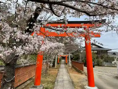 竹中稲荷神社(吉田神社末社)の鳥居