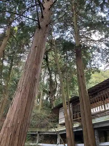 伊萬里神社(佐賀県)