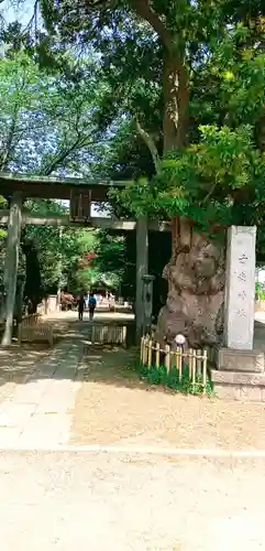 畑子安神社の鳥居