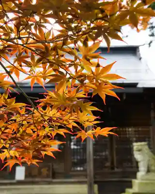 松岬神社(山形県)
