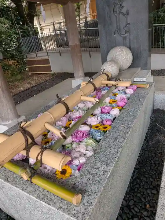 東郷神社(東京都)