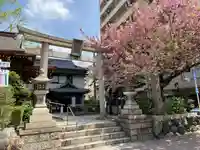 白龍神社の鳥居