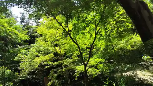 賀茂御祖神社（下鴨神社）(京都府)