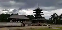 興福寺の建物その他